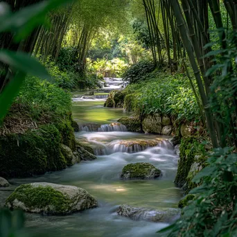 Winding stream in a bamboo forest - Image 1