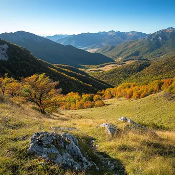 View of a valley rich in autumn colors from a hiking trail under a clear blue sky. - Image 4