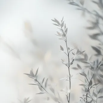 Gray and white gradient with point bokeh - Image 4