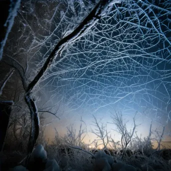 Lattice of ice crystals formed on a windowpane against a winter night sky - Image 4