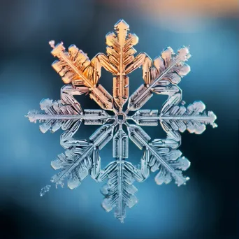 Image showcasing the intricate symmetrical ice patterns within a snowflake at a microscopic level - Image 1