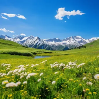 High-altitude meadow with wildflowers and snow-capped peaks - Image 1