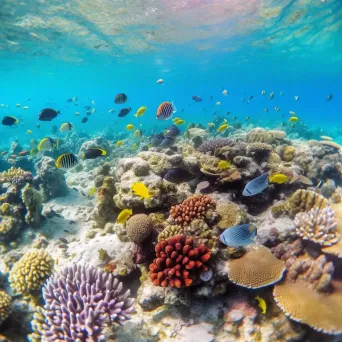 Colorful coral reef with tropical fish swimming, captured with a GoPro Hero 9. - Image 1