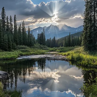 Peaceful mountain stream reflecting pine trees and distant peaks with sunlight. - Image 4