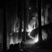 Illustration of a forest fire raging at night with flames casting light in the dark. - Image 2