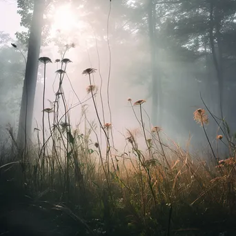 Misty forest understory with tall grasses and flowers surrounded by fog. - Image 3