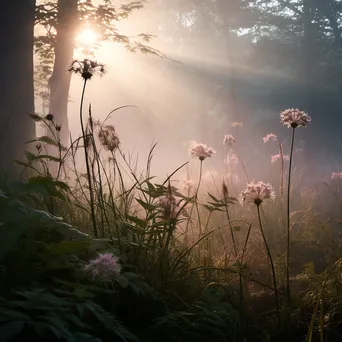 Misty Forest Understory