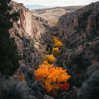 Canyon with autumn foliage and rock formations - Image 1