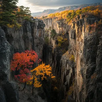 Canyon with autumn foliage and rock formations - Image 2