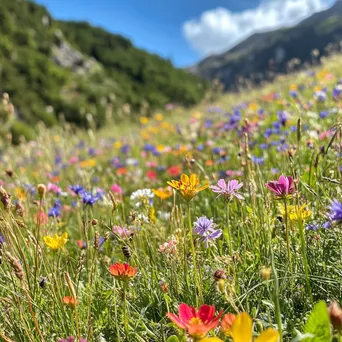 A colorful patch of wildflowers in an alpine meadow with active bees. - Image 2