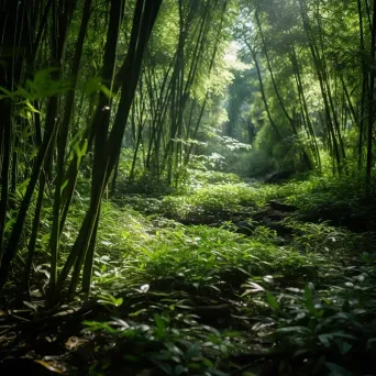 Sunlit bamboo forest with intricate light patterns - Image 3