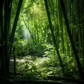 Sunlit bamboo forest with intricate light patterns - Image 4