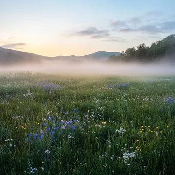 A fog-covered meadow with wildflowers at dawn - Image 1