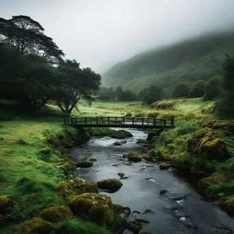 Misty bridge over a stream in nature - Image 1