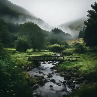 Misty bridge over a stream in nature - Image 2