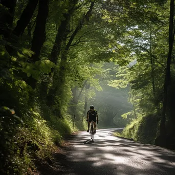 Cyclist riding a mountain trail in lush greenery with sunlight filtering through trees. - Image 4