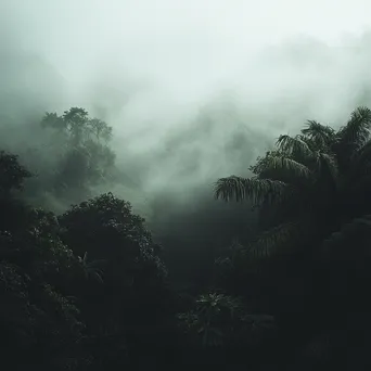 Enchanting fog over a tranquil rainforest with silhouettes - Image 4