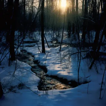 Image of forest shadow contrast on a snowy landscape - Image 3