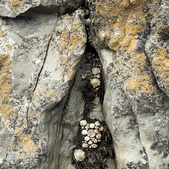 Close-up of textured rock surfaces on sea stacks - Image 1