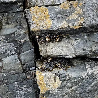 Textured Surfaces of Coastal Sea Stacks