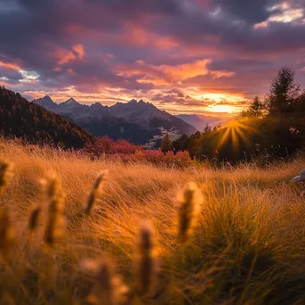 An autumn scene in an alpine meadow with golden grasses at sunset. - Image 1