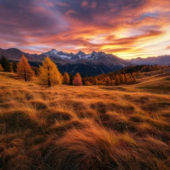 Autumn in the Alpine Meadow