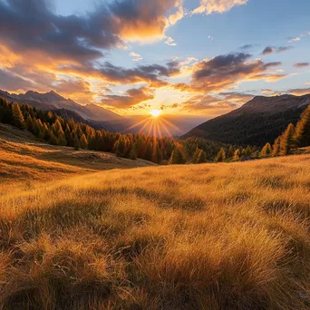 An autumn scene in an alpine meadow with golden grasses at sunset. - Image 3