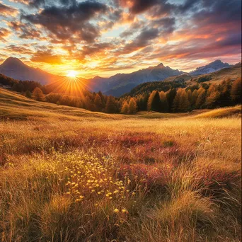 An autumn scene in an alpine meadow with golden grasses at sunset. - Image 4