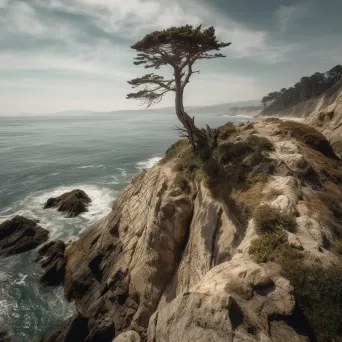 Coastal cliff overlook with rocks and lone tree shot on Canon EOS R5 - Image 3