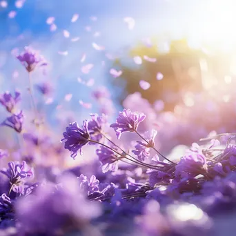 Lavender petals floating in the air. - Image 3