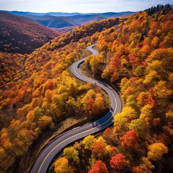 Aerial view of a winding mountain road with autumn foliage - Image 4