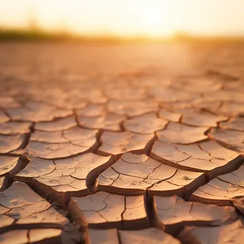 Close-up of dry, cracked earth with subtle beige hues. - Image 1