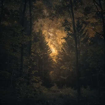 Milky Way galaxy seen through dense forest trees - Image 4