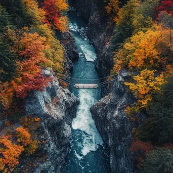 Aerial view of a rope bridge over a river with autumn trees - Image 1