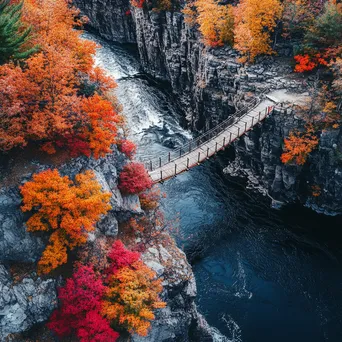 Aerial Shot of Rope Bridge in Autumn