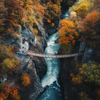 Aerial view of a rope bridge over a river with autumn trees - Image 4