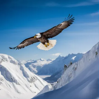 eagle flying over mountains - Image 1