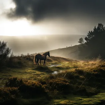 Lone horse on a misty hillside - Image 4