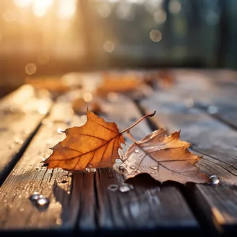 Close-up of autumn leaves with dew on a rustic wooden table - Image 1