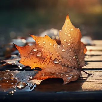 Close-up of autumn leaves with dew on a rustic wooden table - Image 2