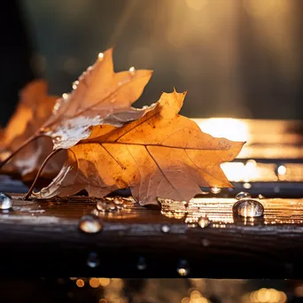 Close-up of autumn leaves with dew on a rustic wooden table - Image 4