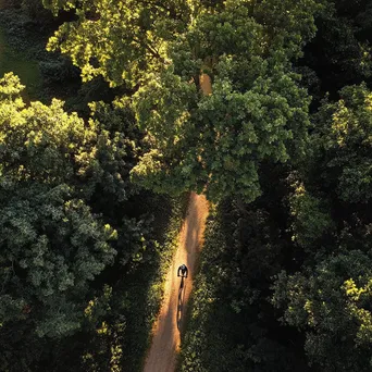 Aerial view of a cyclist on a dirt path surrounded by trees. - Image 2