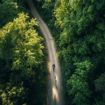 Aerial view of a cyclist on a dirt path surrounded by trees. - Image 3