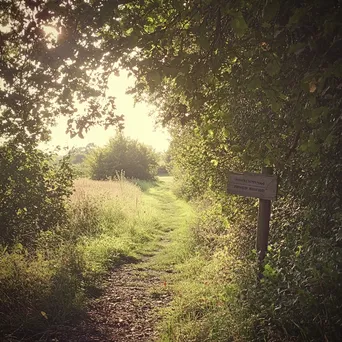 Hedgerow scene with foraging guidelines sign - Image 3