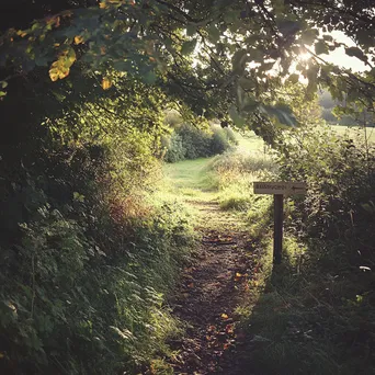 Hedgerow scene with foraging guidelines sign - Image 4