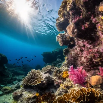 Sunlit underwater rock formations with marine life - Image 2