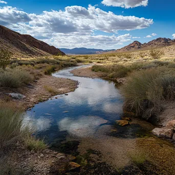 Desert spring feeding into a dry riverbed - Image 1