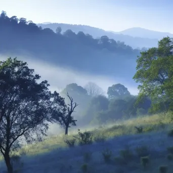 Blue misty hills - Image 4