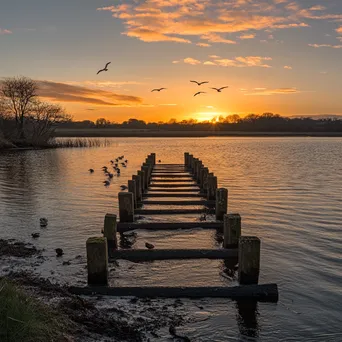 Traditional weir at sunset with calm waters and birds - Image 2