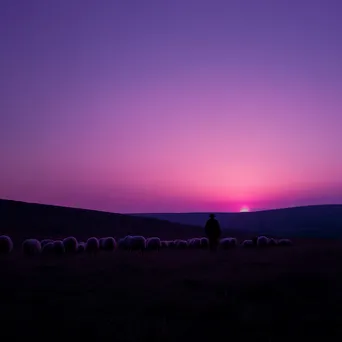 Shepherd silhouetted against a glowing horizon with grazing sheep - Image 2